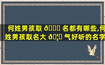 何姓男孩取 🍁 名都有哪些,何姓男孩取名大 🦋 气好听的名字2022年